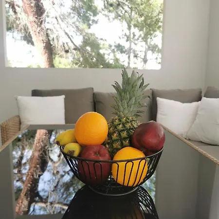 Campsite Fjaka Luxury Mobile - Oaza Mira Croatia